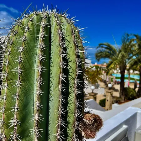 Teide View Malibu Park Appartement